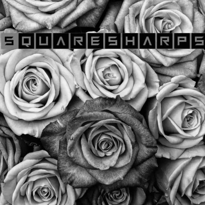 Squaresharps Font examples