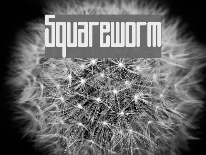 Squareworm Example 1