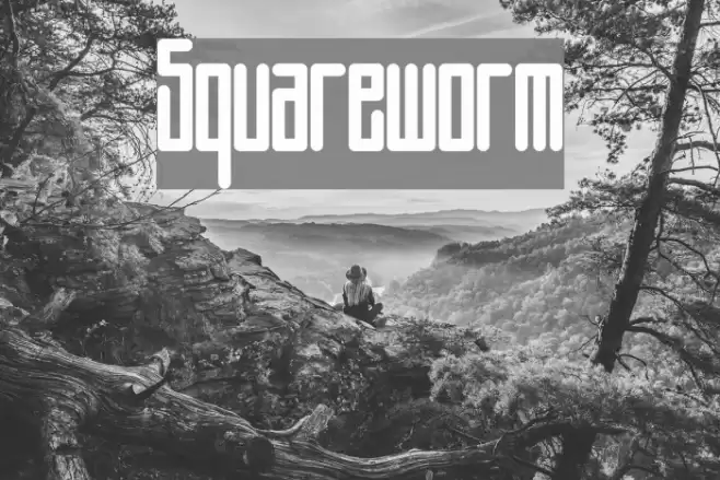 Squareworm Font examples