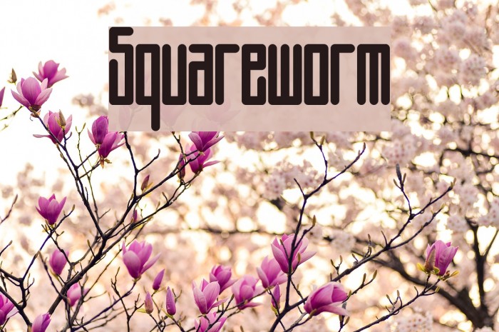 Squareworm Example 3