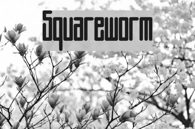 Squareworm Font examples