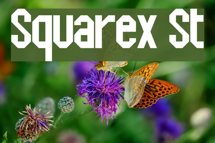 Squarex St Font examples
