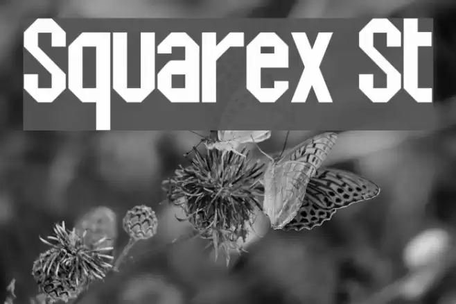 Squarex St Шрифта examples