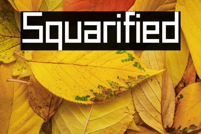 Squarified Example 2