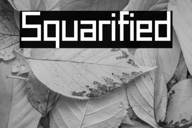 Squarified Font examples