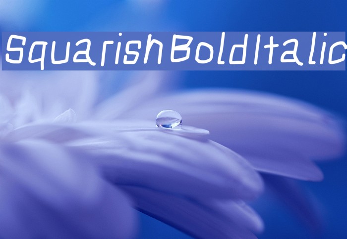 Squarish Bold Italic Font examples