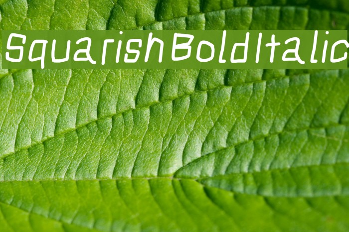 Squarish Bold Italic Font examples
