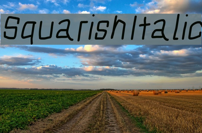 Squarish Italic Font examples