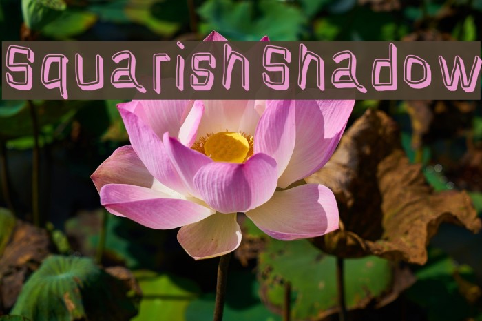 Squarish Shadow フォント examples
