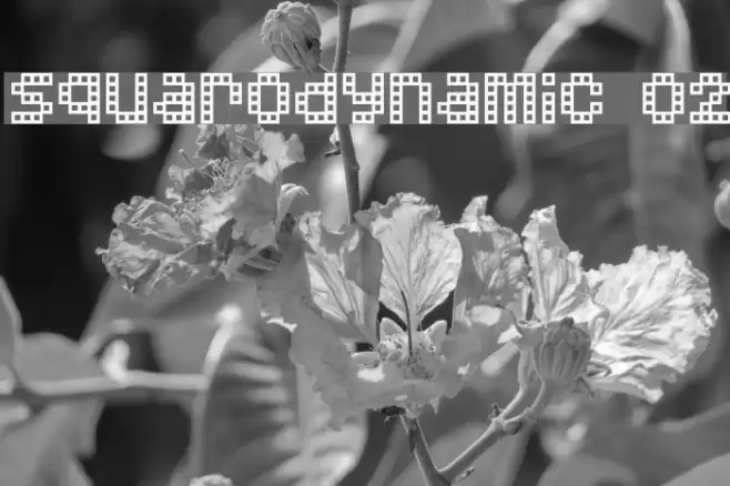 Squarodynamic 02 Font examples