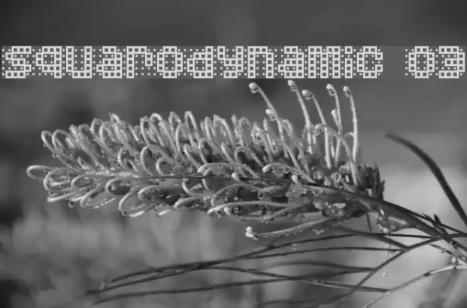 Squarodynamic 03 Font examples