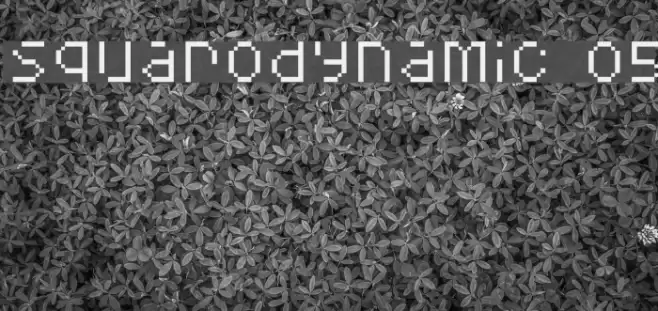 Squarodynamic 05 Font examples