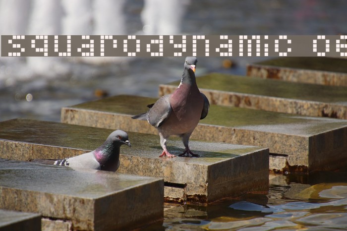 Squarodynamic 06 Font examples