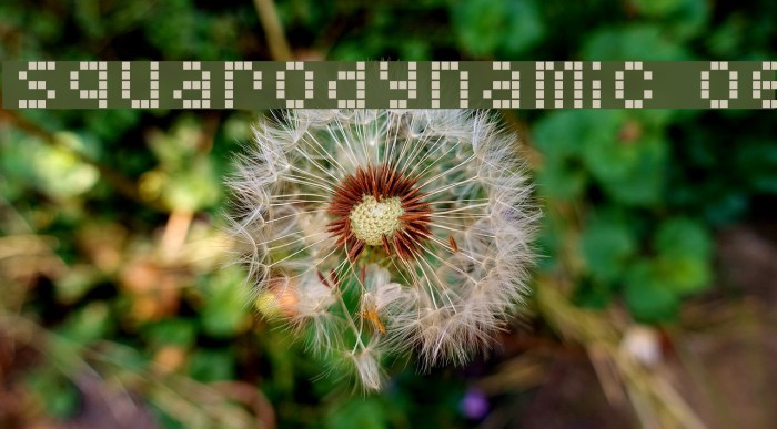 Squarodynamic 06 Font examples