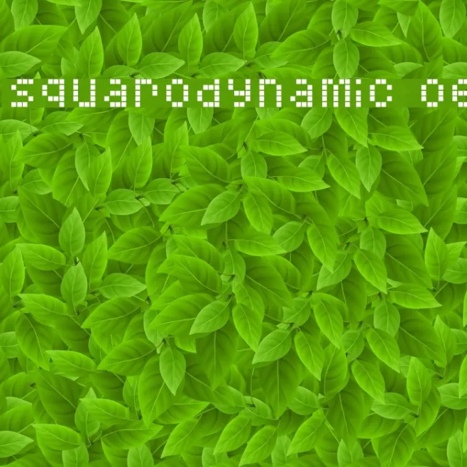 Squarodynamic 06 Example 3