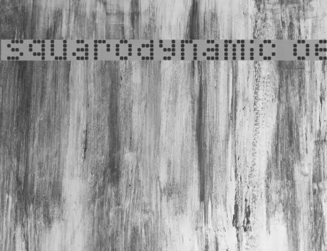 Squarodynamic 08 Fonte examples