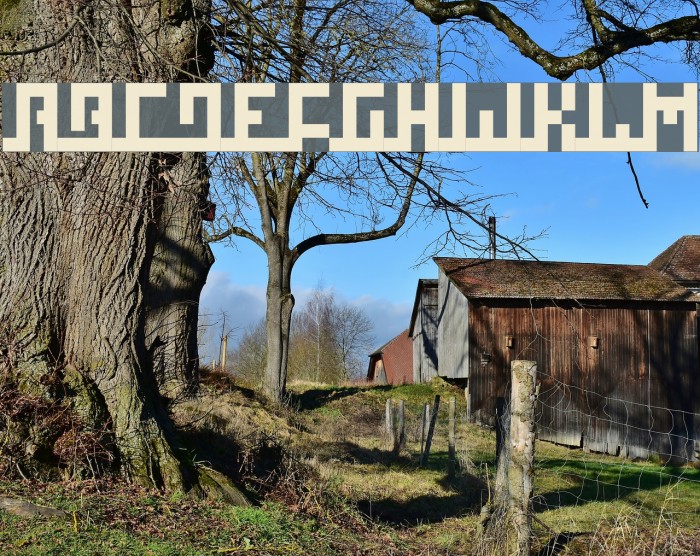Squaropen Bold Font examples
