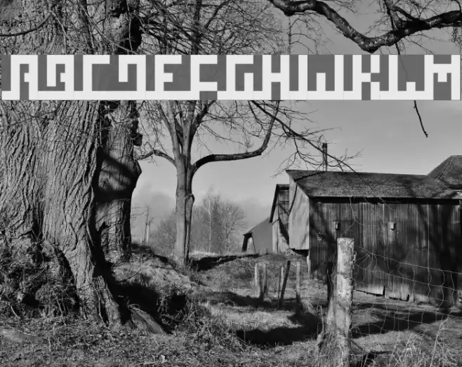 Squaropen Bold Шрифта examples