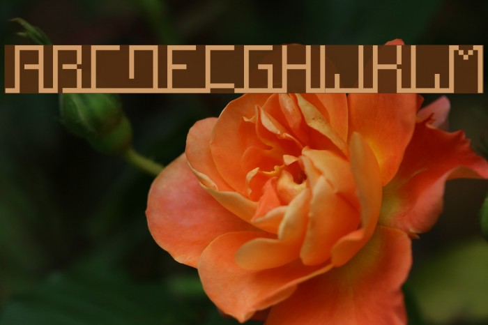 Squaropen Font examples