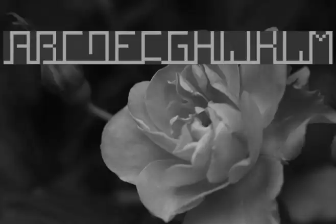 Squaropen Font examples