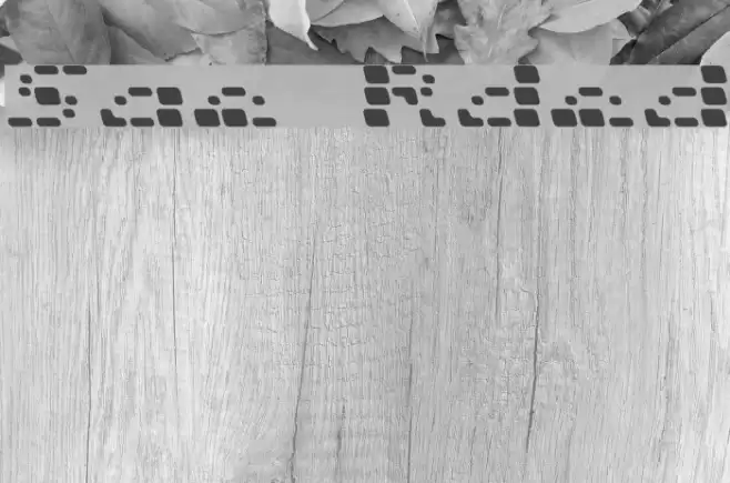 Squarrel  Rounded Fonte examples