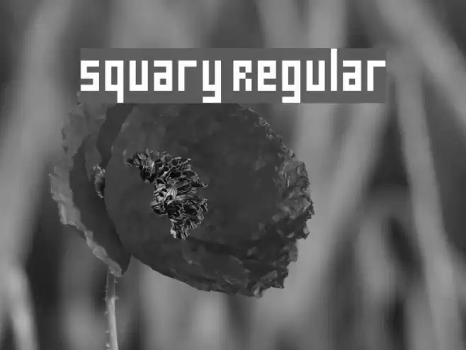 Squary Regular Font examples