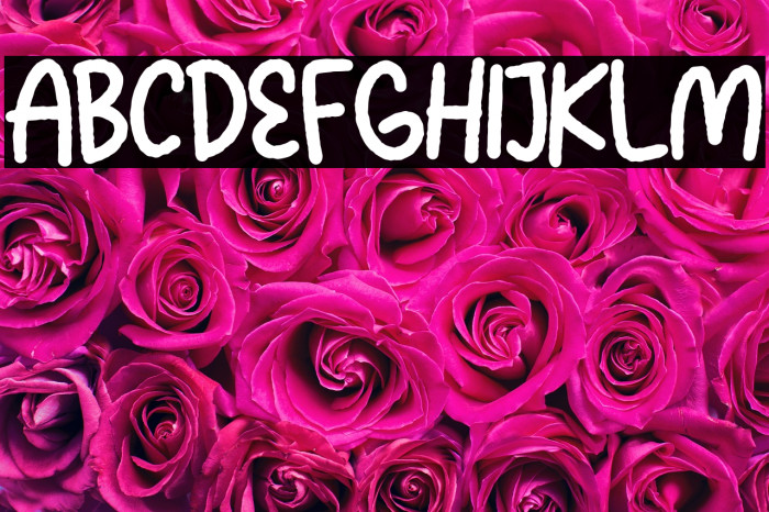 Squash Delight Example 1