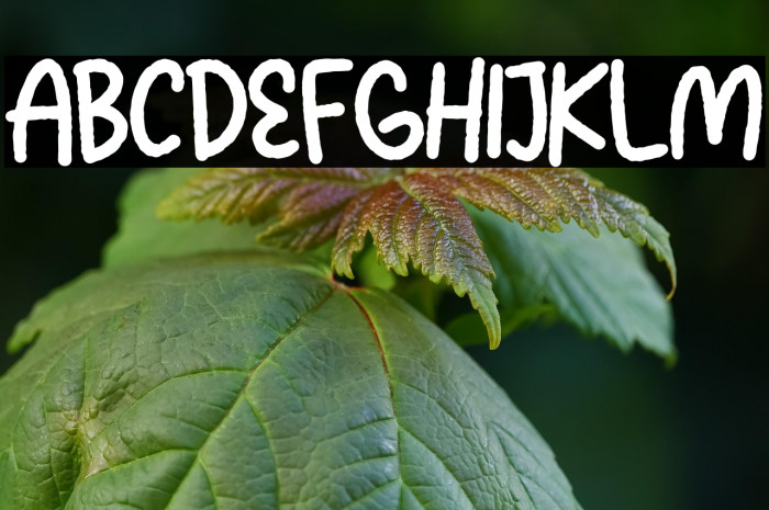 Squash Delight Example 3