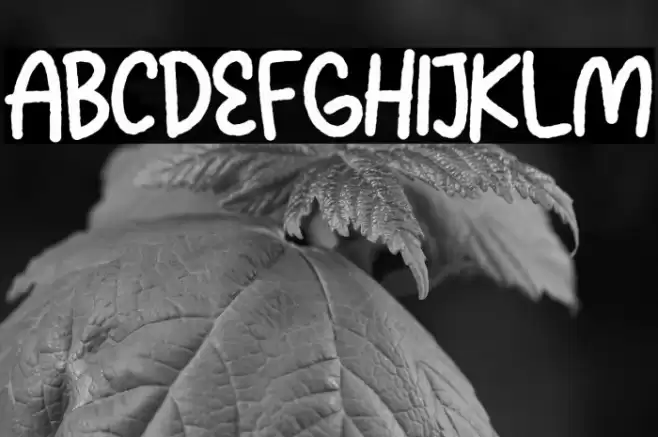 Squash Delight Font examples