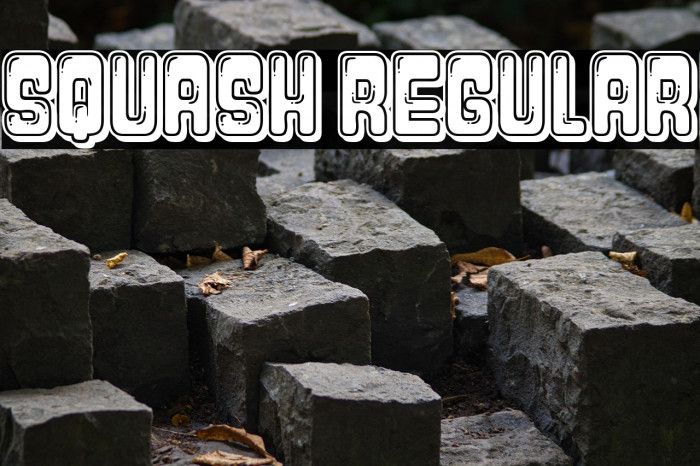 Squash Regular Example 1