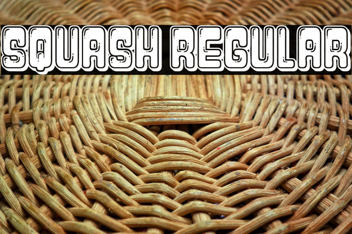 Squash Regular Example 2