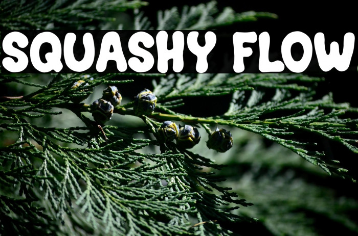 Squashy Flow Example 1