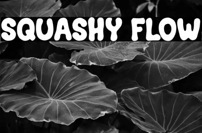 Squashy Flow Font examples