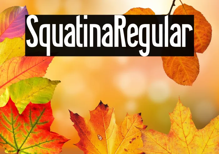 Squatina Regular Example 1