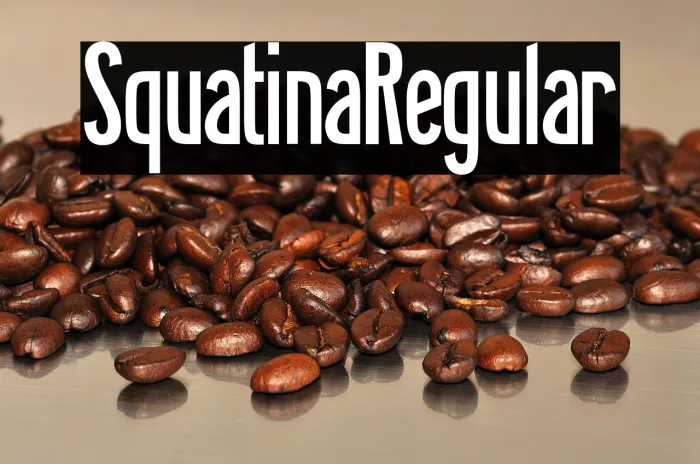 Squatina Regular Example 3
