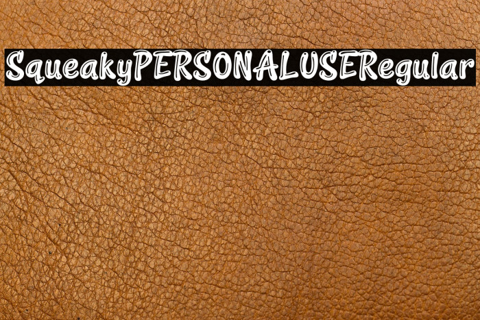 Squeaky PERSONAL USE Regular Example 2