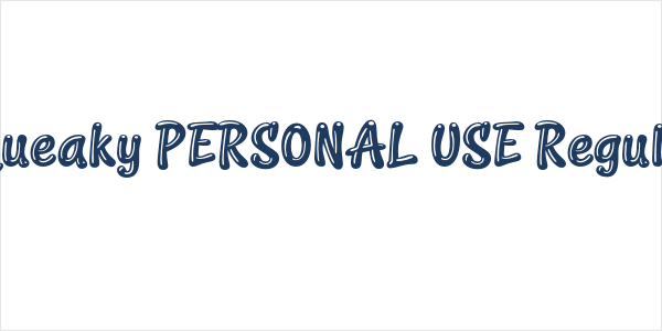 Squeaky PERSONAL USE Regular Logo