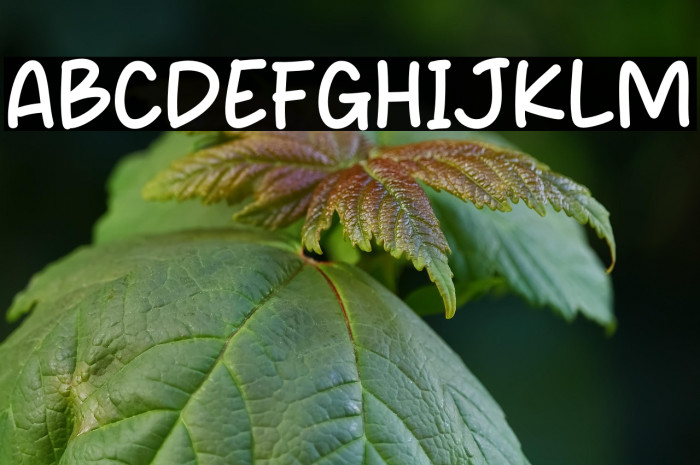 Squeal Oval Example 3