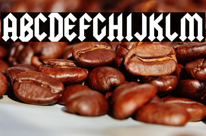 Squealer-Regular Example 2