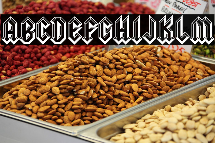 SquealerEmbossed-Regular Example 3