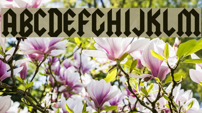 Squealer Font examples