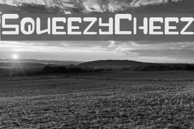 Squeezy-Cheez Font examples