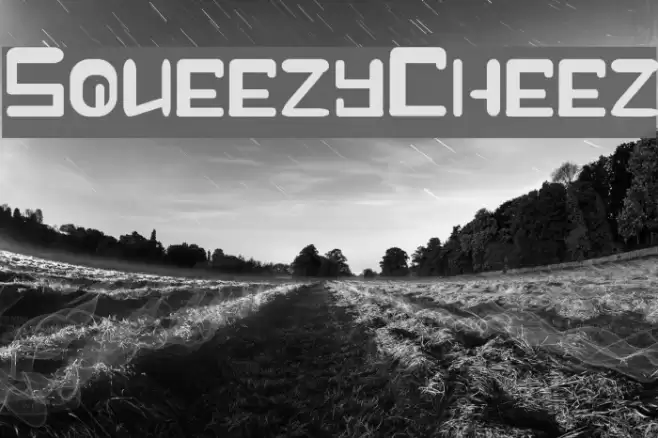 Squeezy-Cheez Font examples