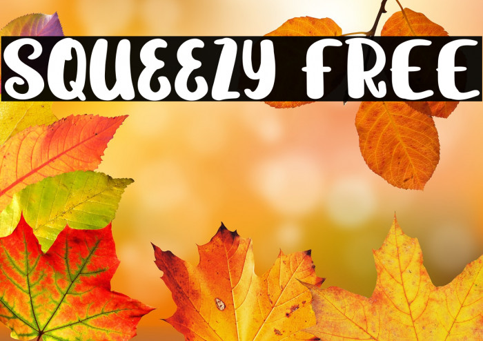 Squeezy FREE Example 3