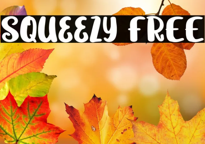 Squeezy FREE Example 3