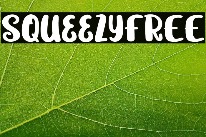 SqueezyFREE Example 1