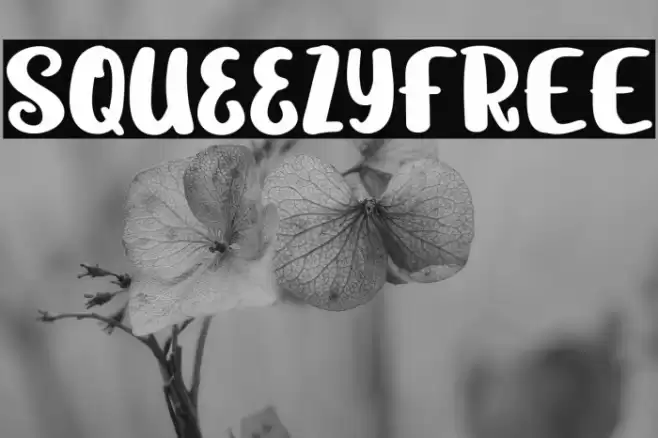 SqueezyFREE Font examples