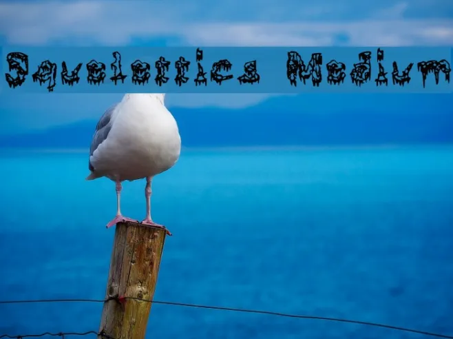 Squelettics Medium Example 2