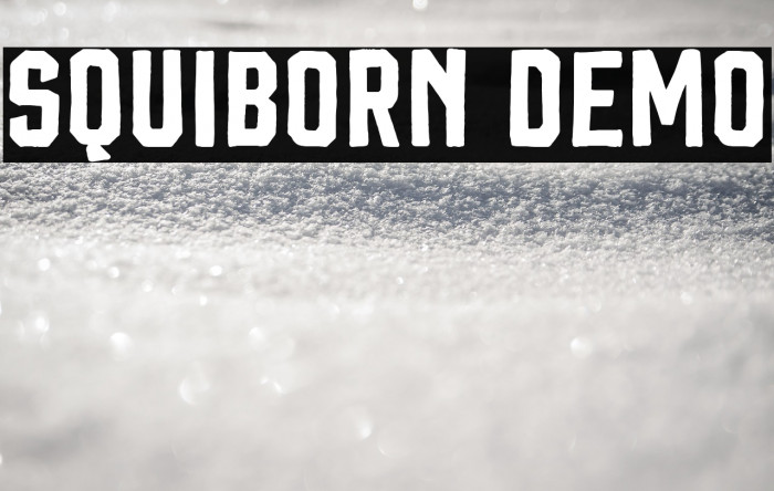 Squiborn DEMO Example 2