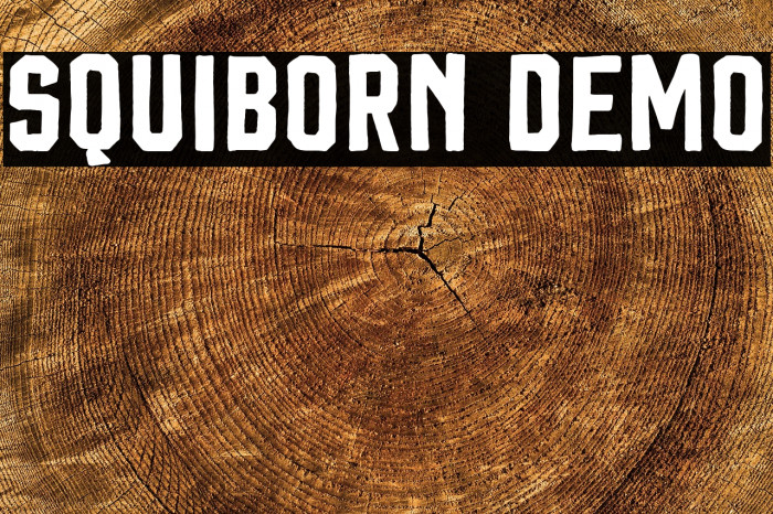 Squiborn DEMO Example 3